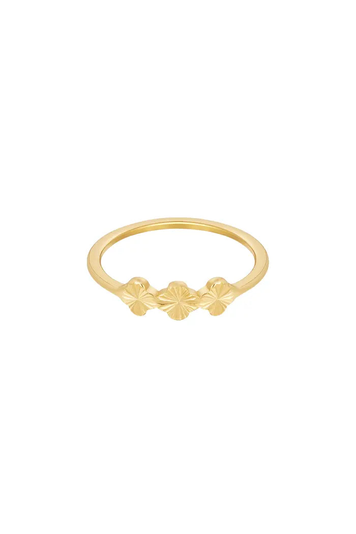Sabine ring str. 56-57